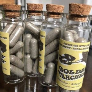 kjøp psilocybin sopp på nett i Norge